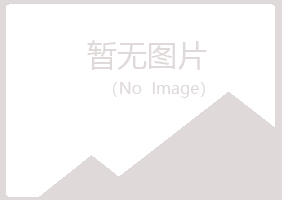 新疆夏岚水泥有限公司